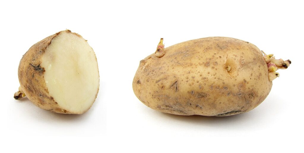 Le patate germogliate si possono mangiare? Ecco la risposta